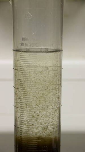 aluminum sulphate floc in water treatment
